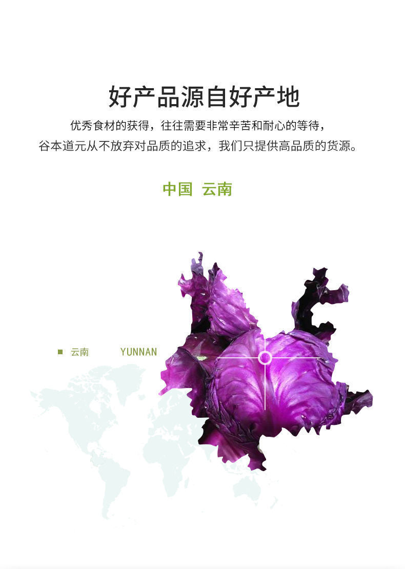 520g Edible Dietary Fiber Meal Replacement Vegetable Powder Purple Kale Powder