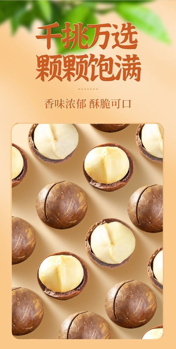 New Macadamia Nuts | Milk Flavor, Large Size, With Shell Opener, Snack