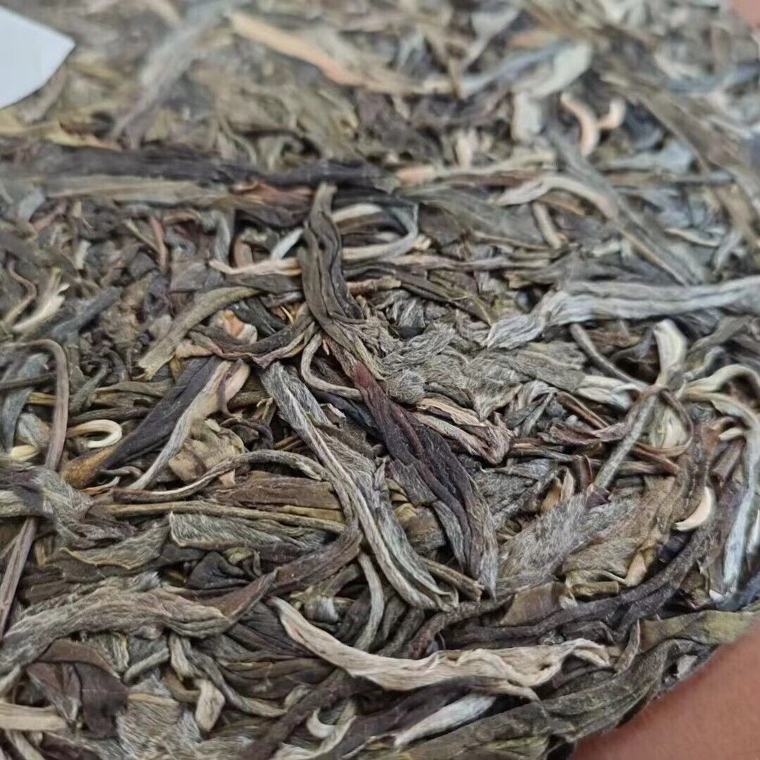 HelloYoung Yunnan Pu'er Tea He Kai Raw Tea Ancient Tree First Spring Pu'er Tea 357g