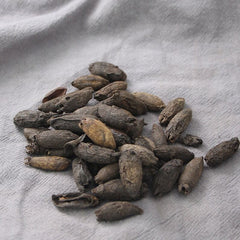 250g Mu Ding Xiang 母丁香, Clove Fruit, Fructus Syzygium Aromaticum, Ji She Xiang