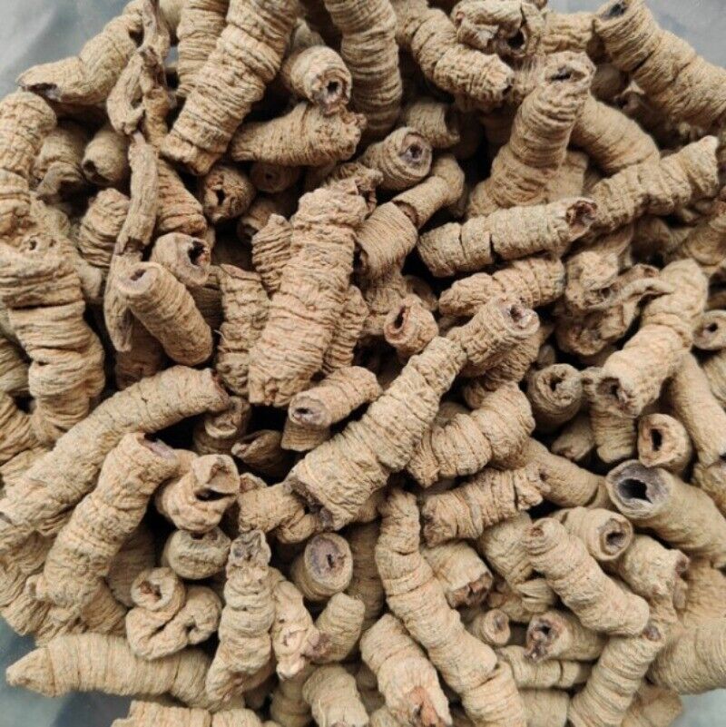 HelloYoung New Baji Tian Chinese Herbs Dried Baji 500g