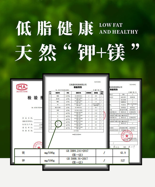 Yunnan Parana Pine Nuts – Hand-Picked Jumbo Shelled