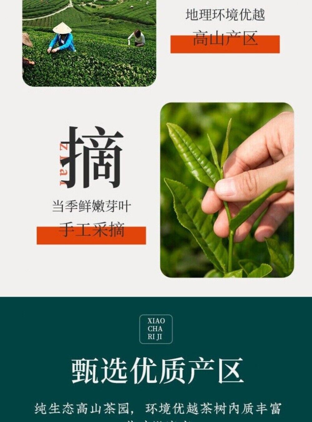 Taiwan Oolong Tea Premium Black Loose Leaf Fragrant High Quality 250g
