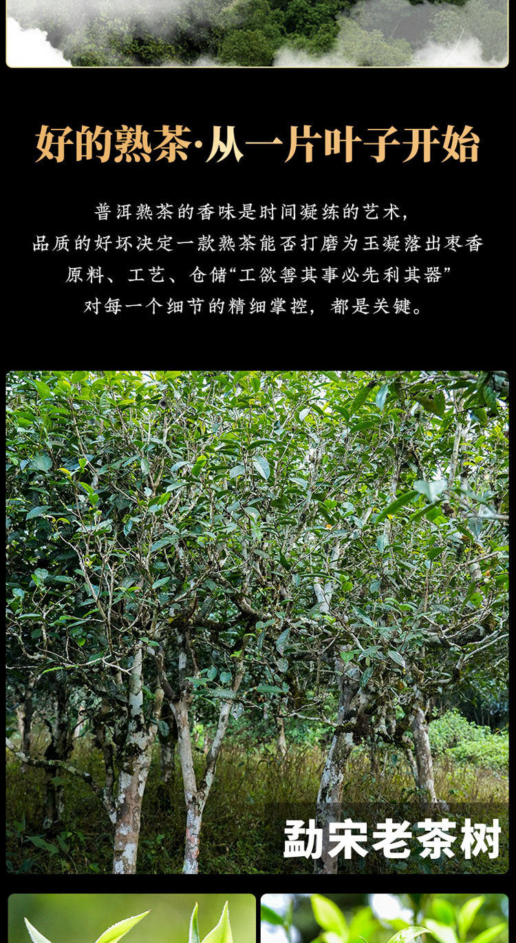Pu'er Tea [Collection Level] Mengsong Old Tree Round Tea Ripe Tea Tea Cakes 357g