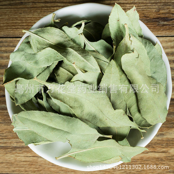 Apocynum Venetum Leaf Chinese Herbal Tea Health Tea