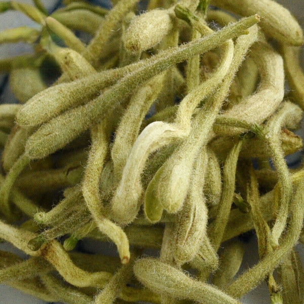 HelloYoung Organic Honeysuckle - Loose Buds Tea Natural Jin Yin Hua Ecology Loose Leaf Tea