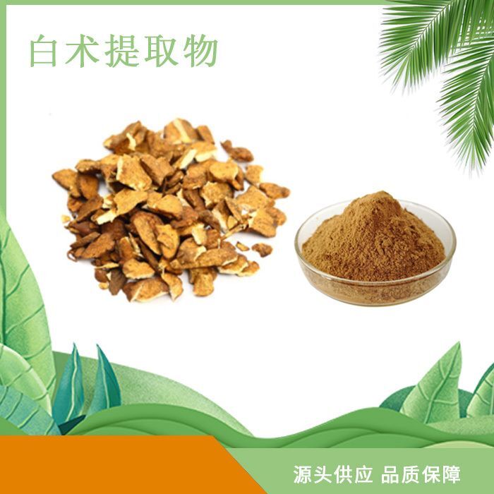 Bai Zhu Extract 10:1 Concentrate | Atractylodes Rhizome Vegan Herbal Tea Main image