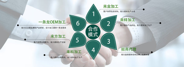 Ginkgo Biloba Eucommia Leaf Panax Ginseng Tea Health Care Lower Blood Fat 60g