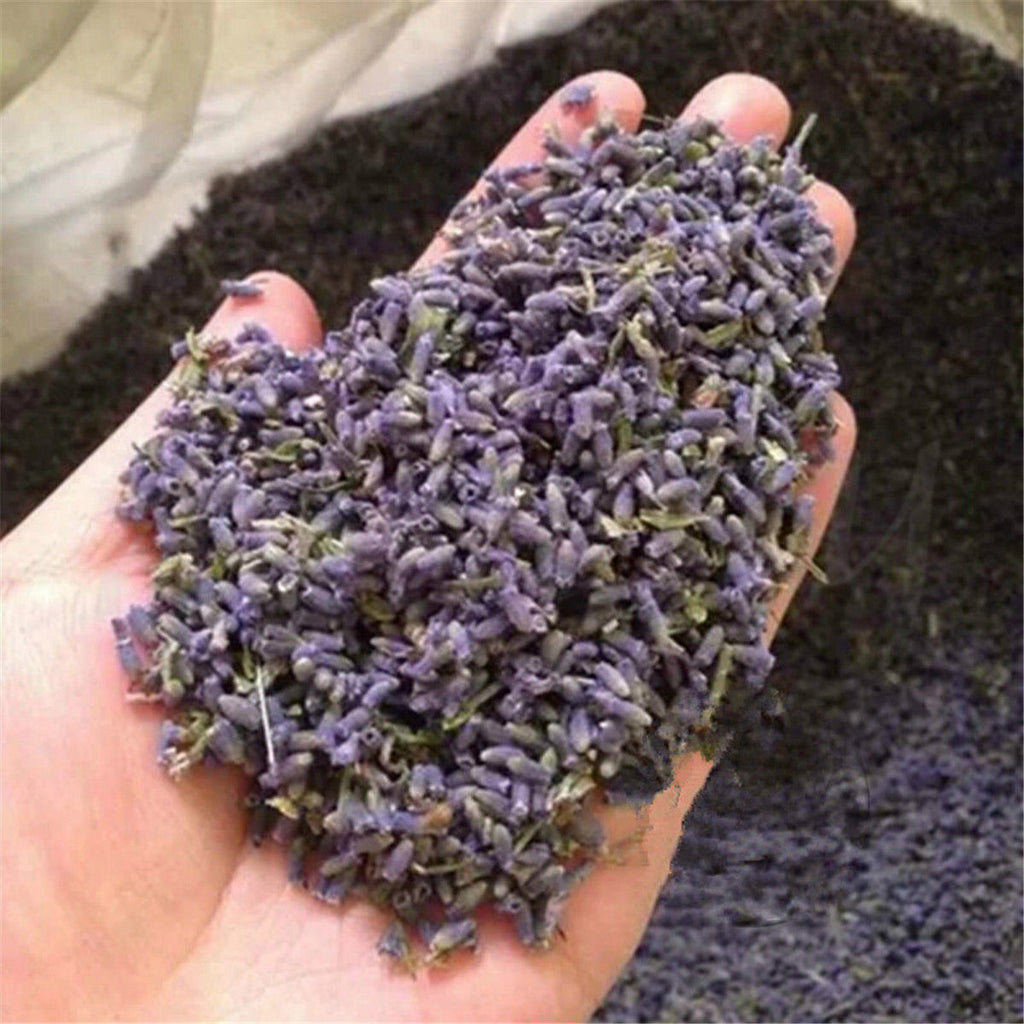 HelloYoung 50g Lavender Dried Flower Tea Floral China Bloom Tea Herbal Gift Good for Sleep