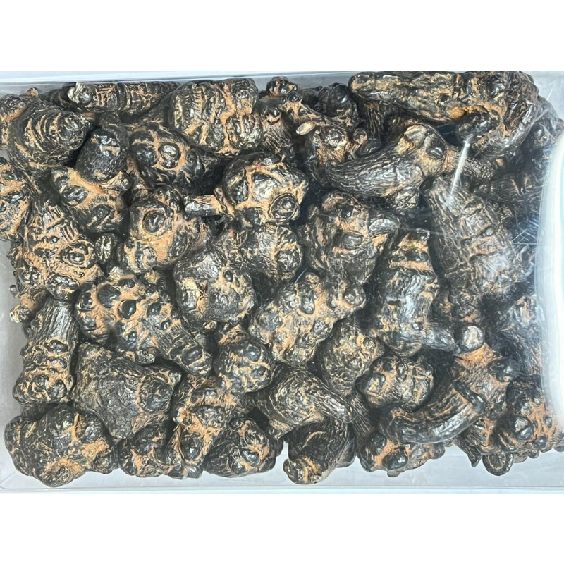 good quality and price 500g/1.1LB Black Radix Pseudoginseng 黑田七頭 Main image