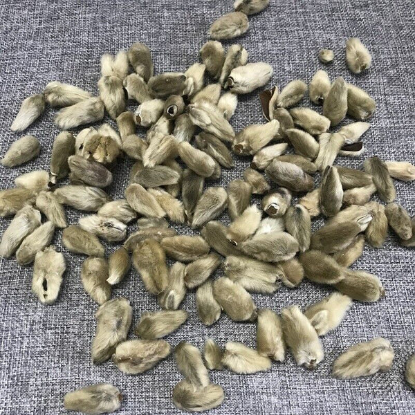 Xinyihua Natural Flavor Tea Dried Flos Magnoliae Flower Tea 250g