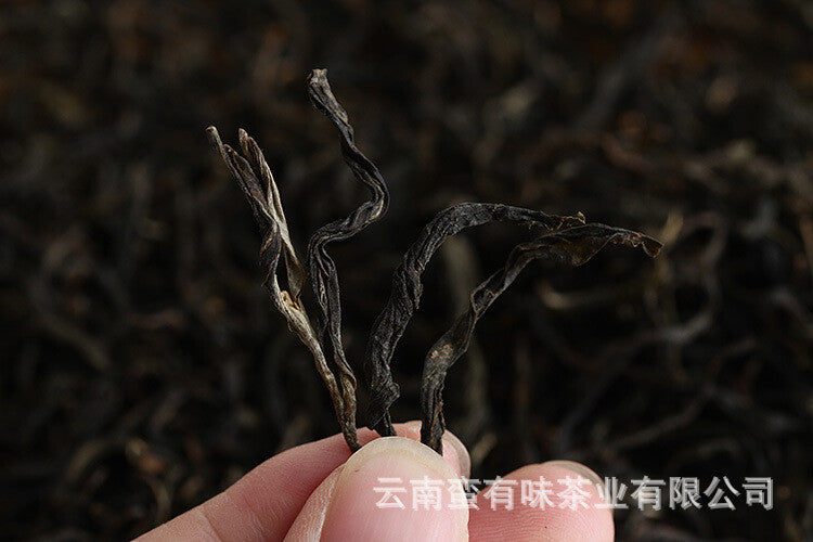 Yunnan Puerh Tea Menghai Qiaomu Raw Tea Big Tree Tea 500g Loose Tea