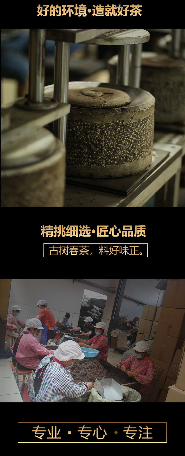 500g Silver Leaf Pu'er Tea Raw Tea Brown Mountain Secret Realm Ancient Tree Tea