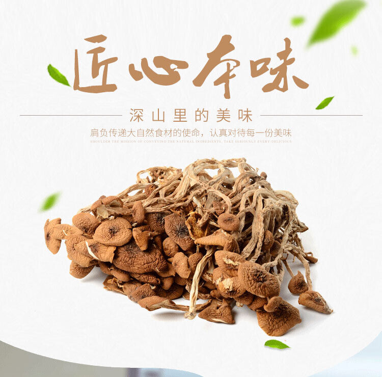 HelloYoung Chinese Herbal Agrocybe Cylindracea New Premium Dried Tree Mushroom 250g/bag