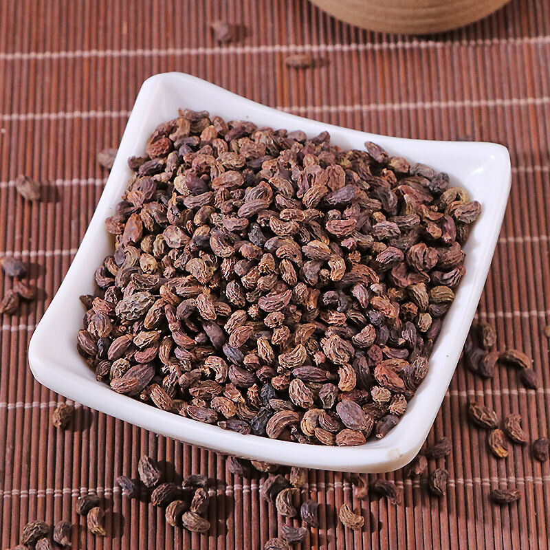 High quality 100% Natural Ligustri lucidi Fructus Nv Zhen Zi 女貞子 Chinese Herb