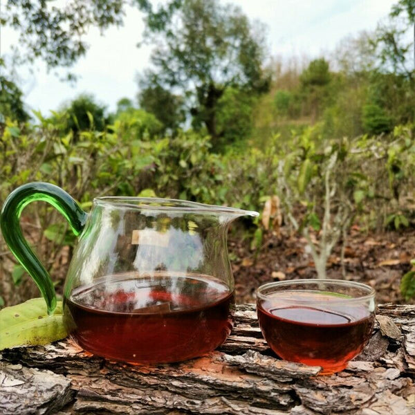 HelloYoung 357gPremium Bulandashu Ripe Tea  Zhonghong Yin Brown Mountain Big Tree Ripe Tea