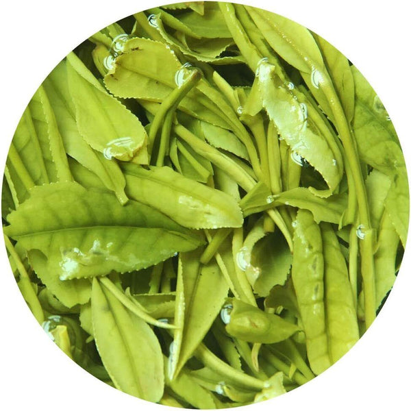 100g / 3.5oz Premium Spring Anji Bai Cha White Loose Leaf Chinese Green Tea
