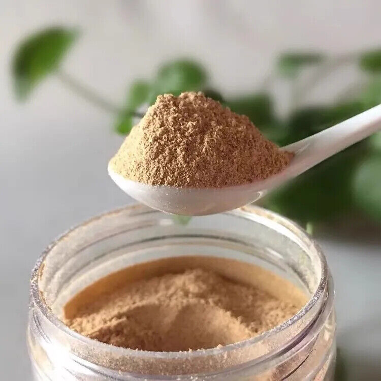 Organic Amla Powder (3.53OZ) Amla Powder for Hair Growth (Indian Gooseberry) Secondary image