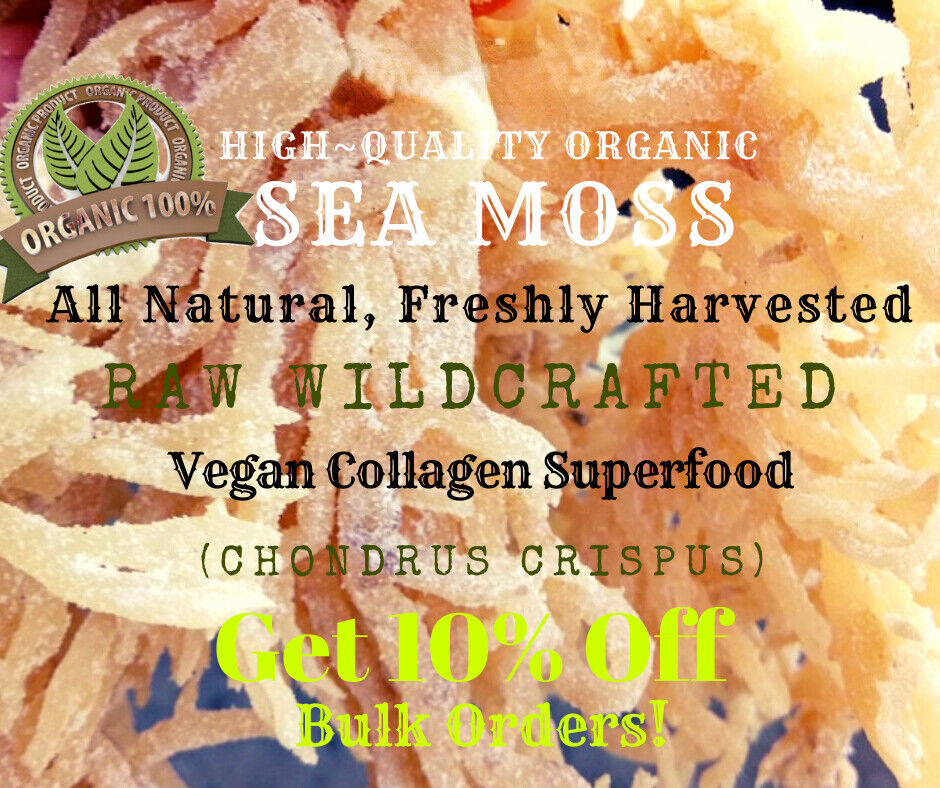 Organic Whole Leaf Irish Moss Sea Moss 8 Oz | Raw WildCrafted Superfood