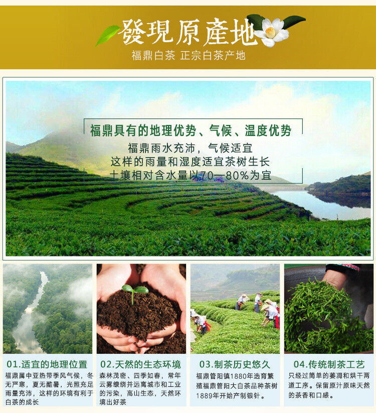 Organic White Tea Fuding Fujian Silver Needle Health Bai Hao Yin Zhen Cake 300g