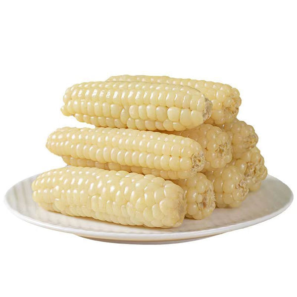 Xishuangbanna Sweet Sticky Corn – Wholesale Vacuum Pack