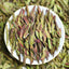 HelloYoung Yunnan Pu'er Tea Purple Buds Early Spring New Tea MingQian Spring Tea Nectar Tea