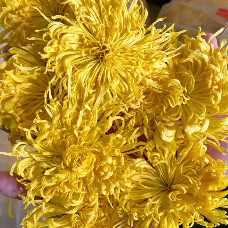 HelloYoung Base direct supply of bulk golden chrysanthemum large chrysanthemum tea 17.6oz