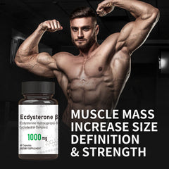 Ecdysterone Hydroxypropyl-E Cyclodextrin Complex Capsules - 1000mg - 60 Capsules