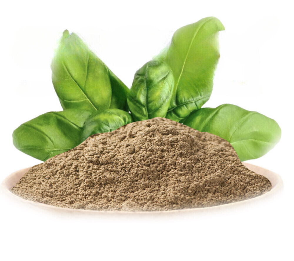 HELLOYOUNG Premium Basil leaf Powder-Pure, Strong Flavour Main image