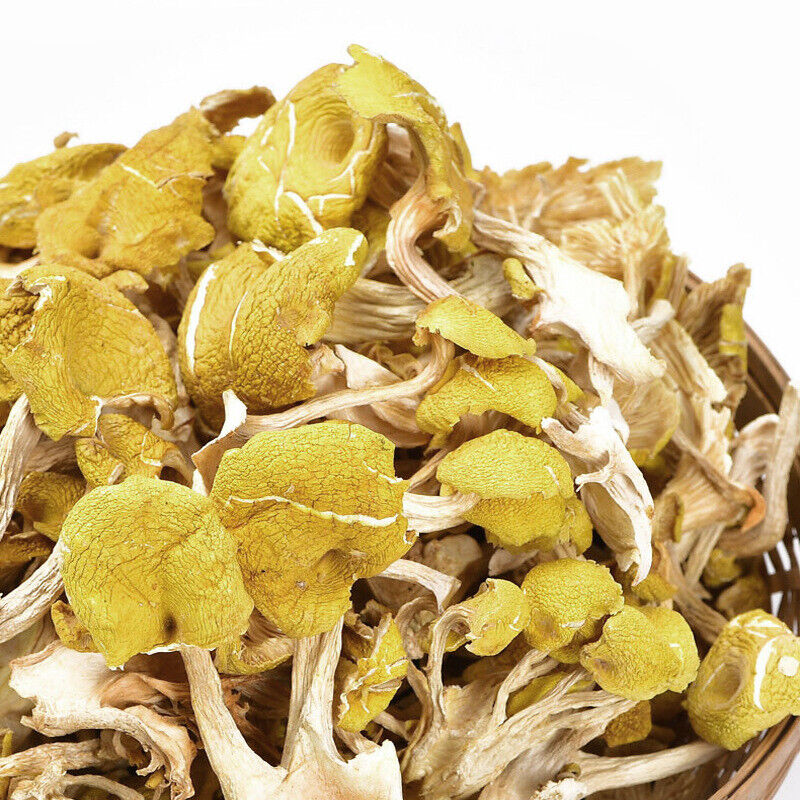 Chicken Oil Mushroom  Yunnan Specialty Yellow Silk Mushroom Soup