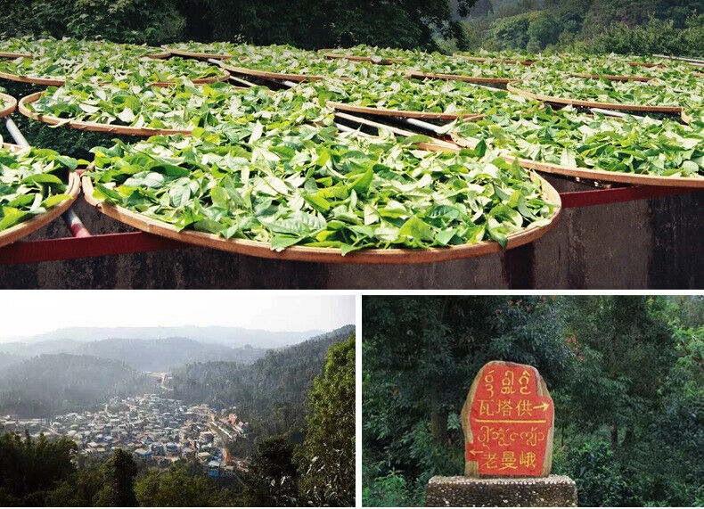 HelloYoung 357g Puerh Raw Tea Cake Pu-erh Raw Tea Cake Yunnan Pu-erh Tea Cake 布朗山老曼峨古树茶