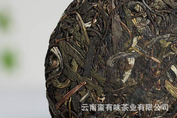 Yunnan Puerh Tea 2021 Old Tree Tea 100 Yiwu Small Cake Raw Tea