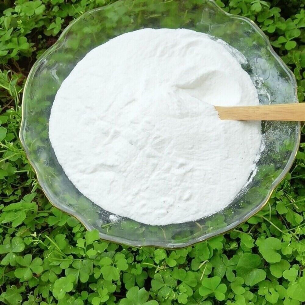 Food Grade White Birch Extract Powder Sap Concentrate Herbal Tea Premium Natural