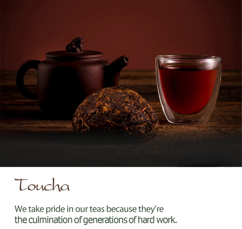 Toucha Pu-erh Tea Yunnan China - TOU Cha Bird Nest Pressed Chinese Puer Tea 100g