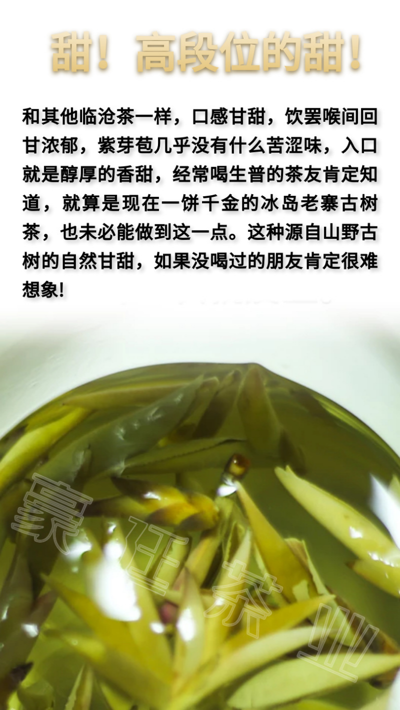 Yunnan Pu'er Tea Purple Buds Early Spring New Tea MingQian Spring Tea Nectar Tea