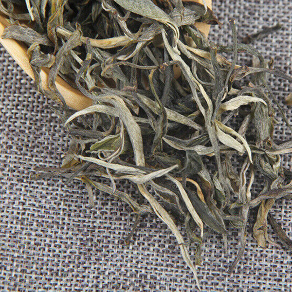 Big Tree Grand Xueshan Pu-erh Cha Tea 500g Loose Spring Tea