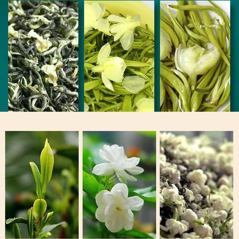 2024 New Tea Jasmine Tea Canned Authentic Premium Jasmine Snow Tea