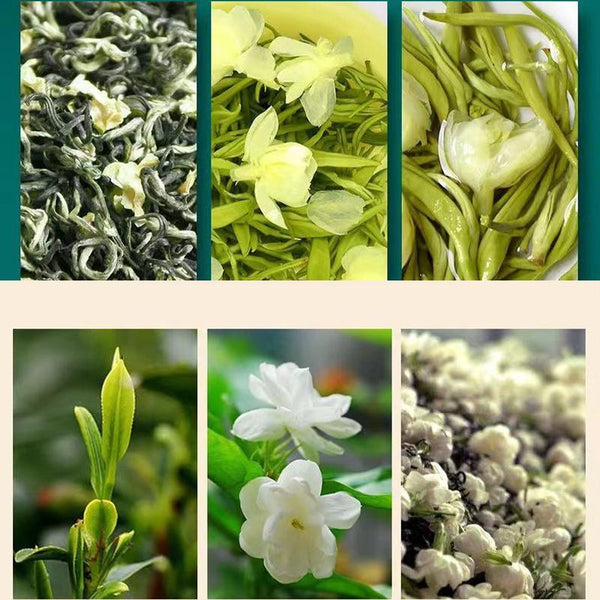 2024 New Tea Jasmine Tea Canned Authentic Premium Jasmine Snow Tea