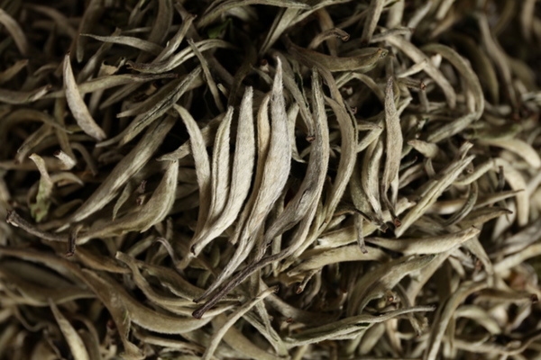 HelloYoung Pu'er raw tea white hair silver needle white hair single bud moonlight white tea