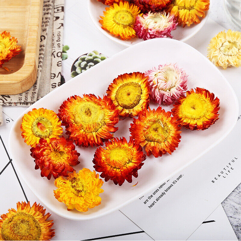 Chrysanthemums Dried Chrysanthemums Bulk Herbal Tea 500g Secondary image