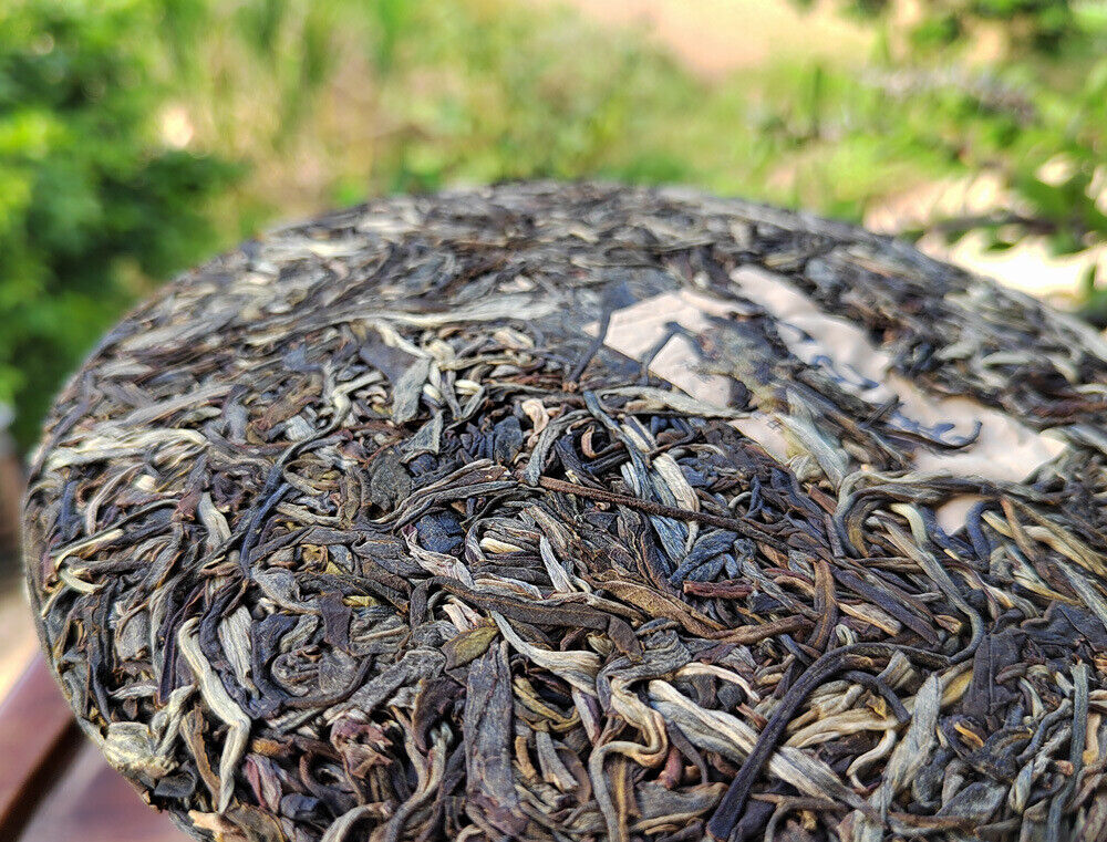 HelloYoung Scraping Walled Pu'er Tea Cake Yiwu Ancient Tree Raw Tea First Spring Yunnan Tea