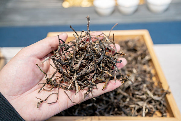 HelloYoung 500g Knowing Over Ancient Puerh Raw Tea Honey Scented Orchid Scented Green Tea