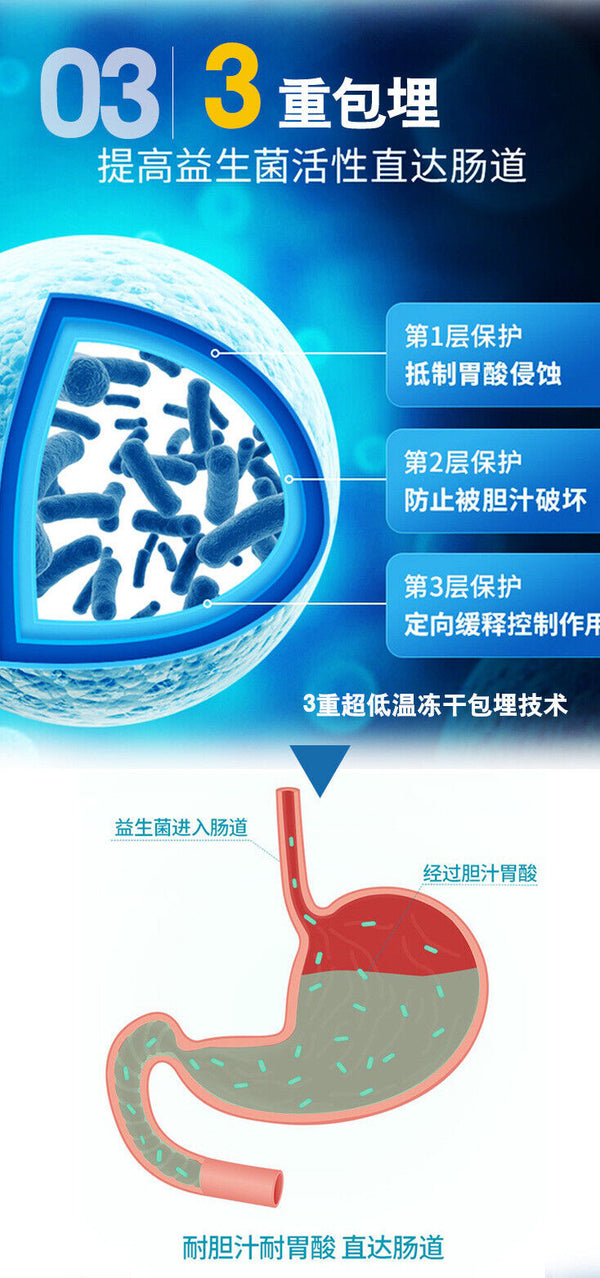 ZhenYan Probiotic Lyophilized Powder Strain Live Bacteria 60g