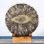 HelloYoung 357g Yunnan Pu'er tea leaves Menghai Da Shu tea Putzi tea cake Pu'er raw tea