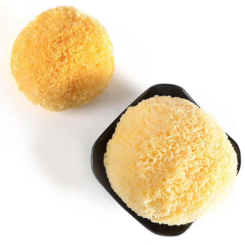 HelloYoung Great Tremella Fuciformis Edible Snow Fungus Ball Mushrooms Good for Health100g