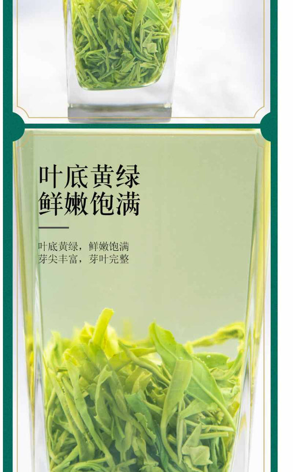 2025 Spring Hanzhong Stir-Fried Green Tea Xixiang Loose Leaf