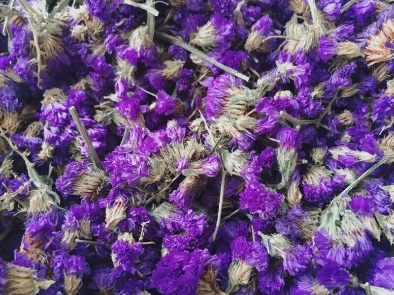 Beauty Detox Tea Dried Flower Tea Natural Myosotis Dried Herbal Flower Tea 500g