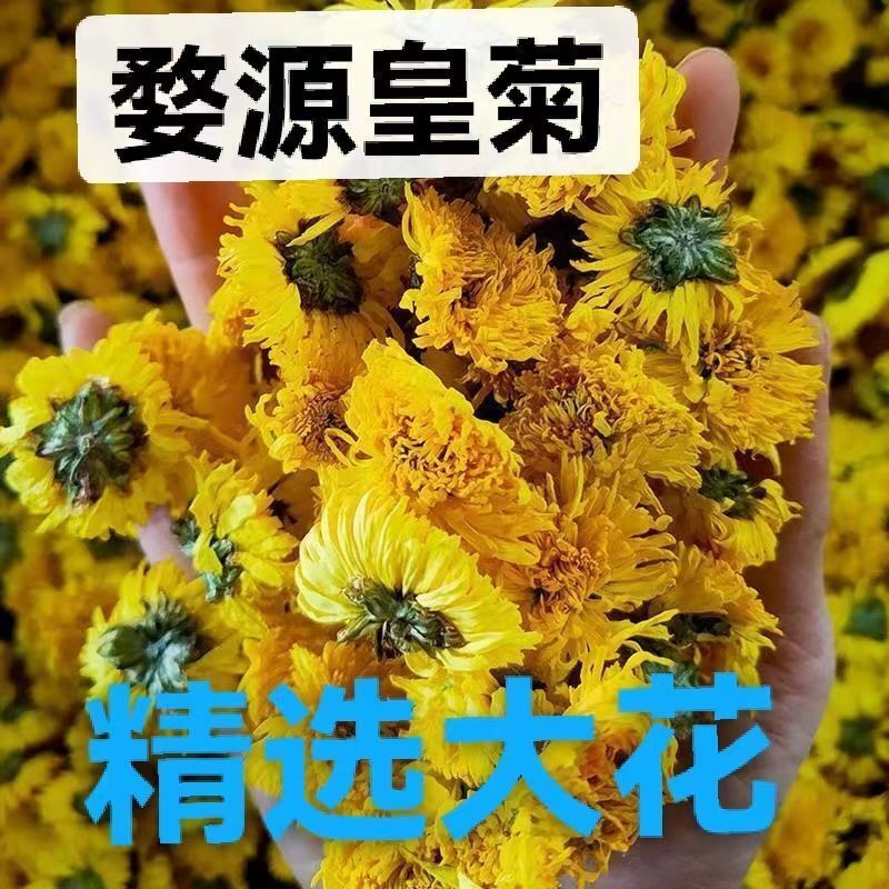 Chrysanthemum TeaWuyuan Authentic Huangshan Royal Chrysanthemum Tea Secondary image