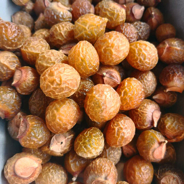 HelloYoung Sapindus indica pericarp herb Sapindus indica pericarp Sapindus indica500g/1.1lb
