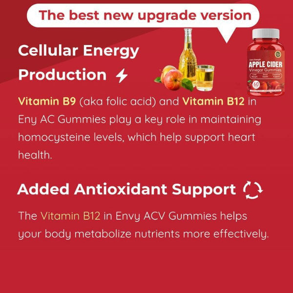Apple Cider Vinegar Gummies Apple Cider Vinegar Gummies 60 Capsules